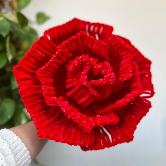 Jumbo big everlasting rose