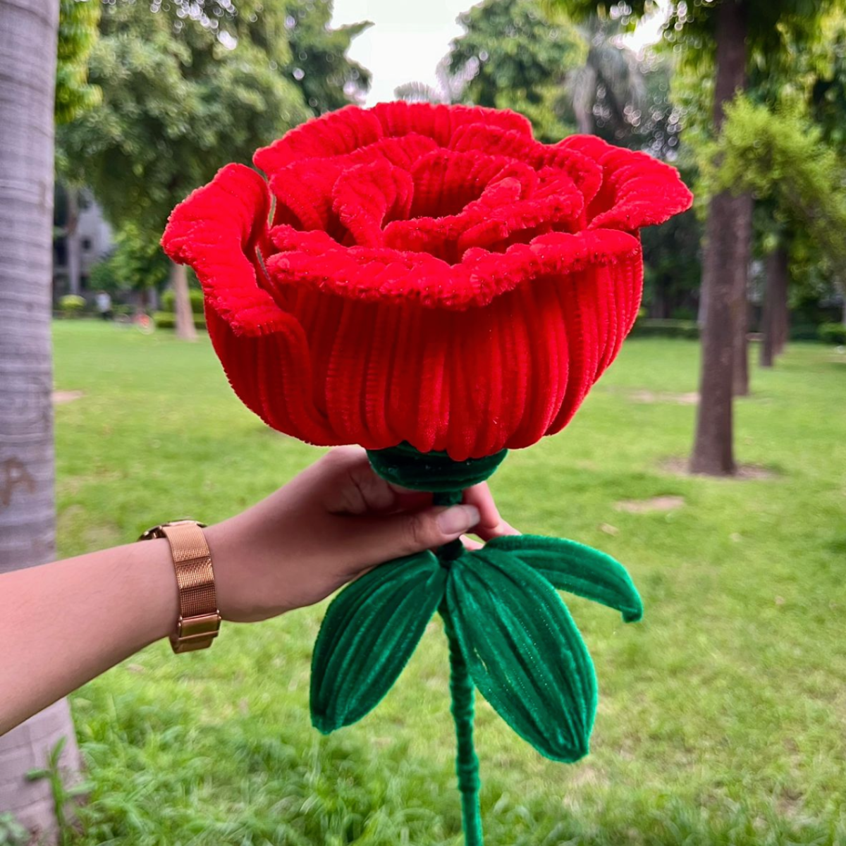 Jumbo big everlasting rose